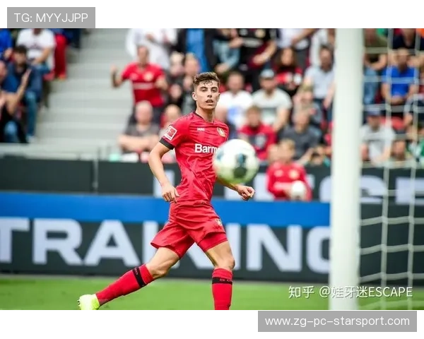 俱乐部启动球迷忠诚积分体系提升用户粘性，德甲球迷忠诚度测试