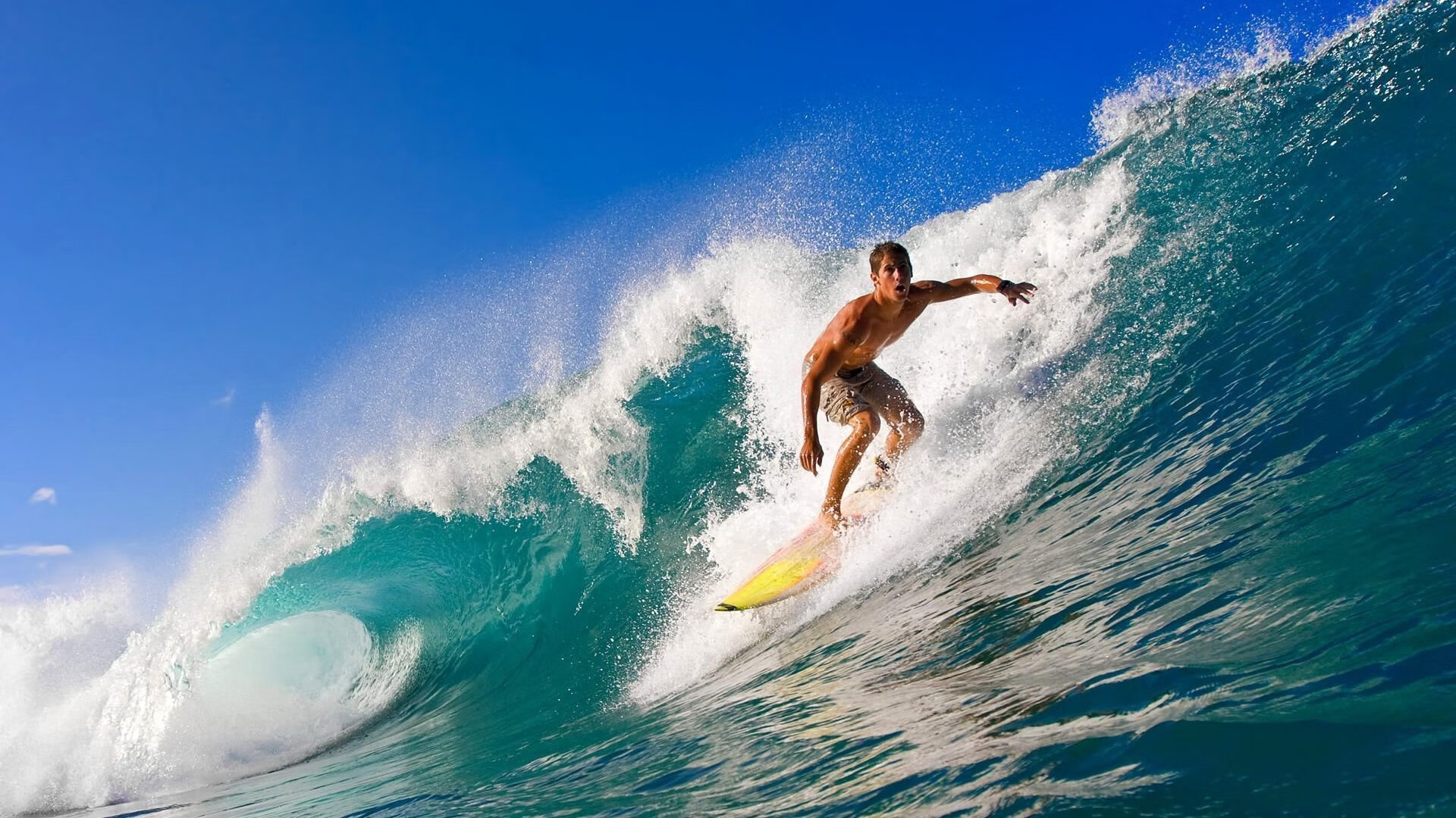 仰泳小将刷新德国国内纪录，世界仰泳顶尖运动员